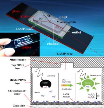 紙/聚合物混合 微流控芯片 紙/聚合物混合 微流控芯片