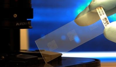 器官芯片 器官芯片