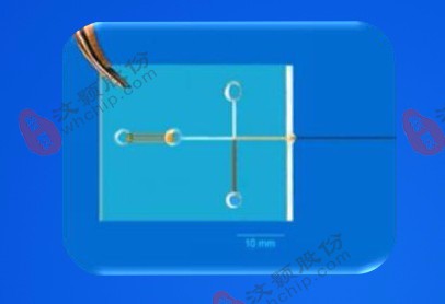 Custom Chip for detection of small molecules Custom Chip for detection of small molecules
