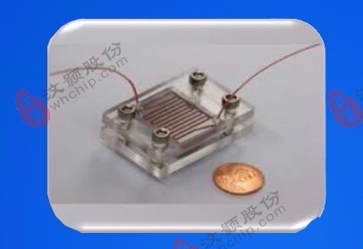 Microfluidic chip for detection of Water quality real-time Microfluidic chip for detection of Water quality real-time