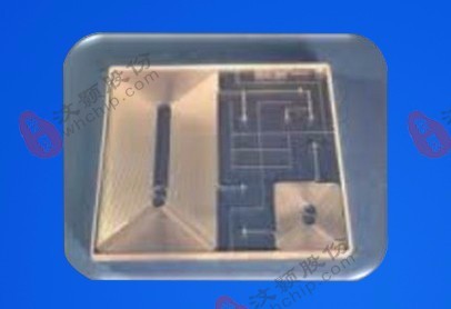 Microfluidic chip for detection of air quality Microfluidic chip for detection of air quality