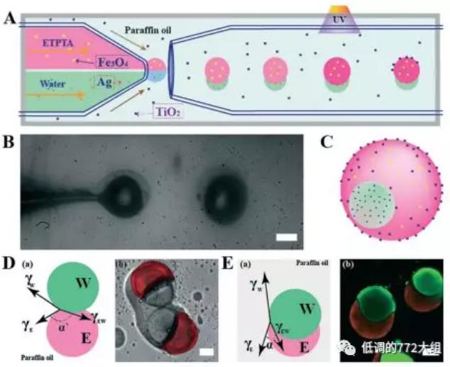 圖1. 一步法制備Janus多功能顆粒的示意圖 圖1. 一步法制備Janus多功能顆粒的示意圖