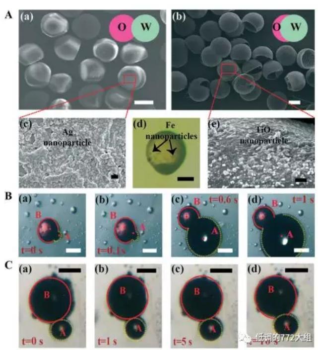 圖2. 兩種結(jié)構(gòu)的Janus顆粒 圖2. 兩種結(jié)構(gòu)的Janus顆粒