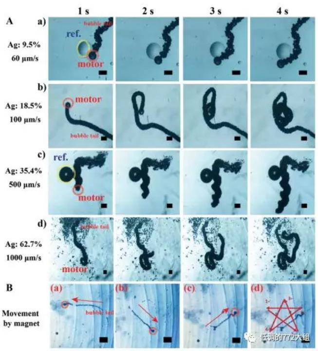圖3. 不同Ag顆粒表面濃度的自驅(qū)動(dòng)微馬達(dá)驅(qū)動(dòng)速度和在磁場作用下的五角星運(yùn)動(dòng)軌跡 圖3. 不同Ag顆粒表面濃度的自驅(qū)動(dòng)微馬達(dá)驅(qū)動(dòng)速度和在磁場作用下的五角星運(yùn)動(dòng)軌跡