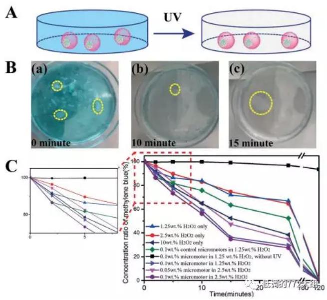 圖4. 自驅(qū)動(dòng)顆粒的亞甲基藍(lán)降解研究 圖4. 自驅(qū)動(dòng)顆粒的亞甲基藍(lán)降解研究