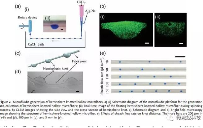 微流控免油紡絲法制備具有不同結點和可灌注通道的仿項鏈微纖維