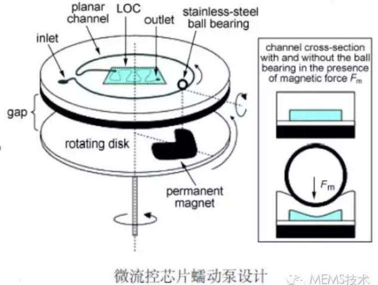 1520832492505623.jpg q3.jpg