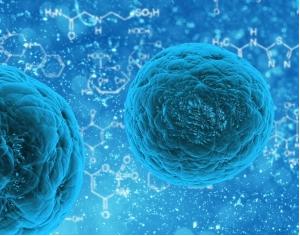 3D細胞培養 3D細胞培養