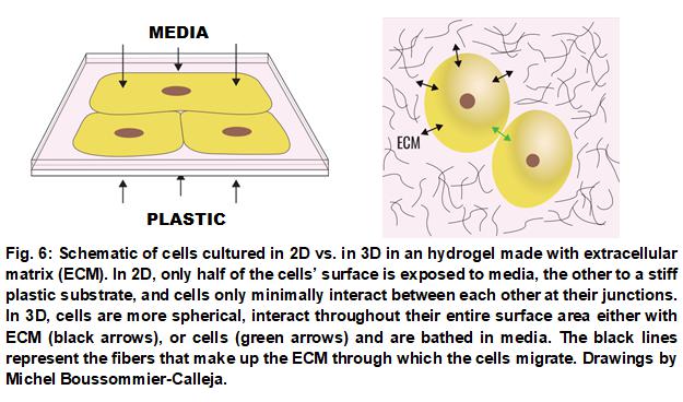 為什么要多加一個第三維