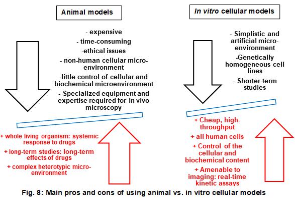 大多數優點和缺點適用于整個體外模型，即2D和3D蜂窩系統
