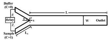 1521251154129362.jpg q7.jpg