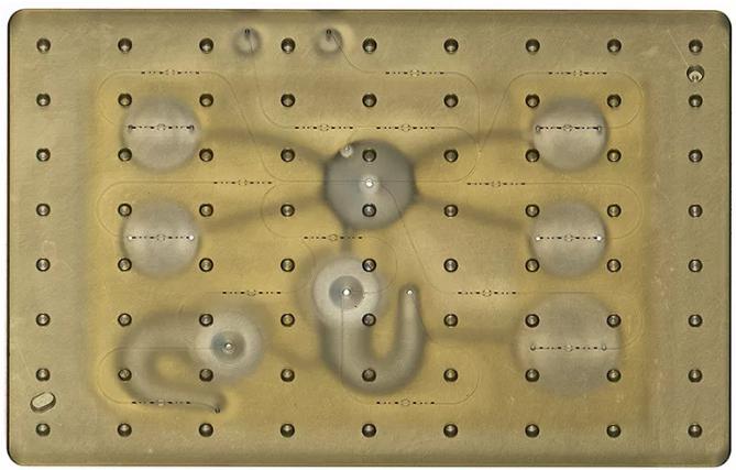 開放式微流控系統：同時研究多個器官系統上的藥物效應