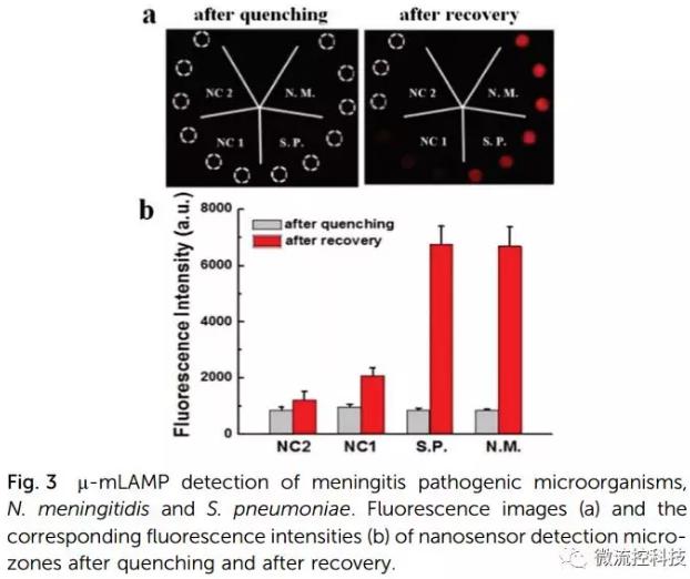 紙基聚合物基混合可旋轉微流控芯片實現多種傳染性疾病的及時定量診斷 紙基聚合物基混合可旋轉微流控芯片實現多種傳染性疾病的及時定量診斷