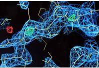 芯片實(shí)驗(yàn)室與分子生物學(xué) 芯片實(shí)驗(yàn)室與分子生物學(xué)