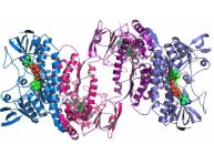 芯片實(shí)驗(yàn)室和蛋白質(zhì)組學(xué) 芯片實(shí)驗(yàn)室和蛋白質(zhì)組學(xué)