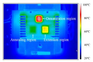 用于PCR微流體裝置的微熱控制單元的紅外圖像 用于PCR微流體裝置的微熱控制單元的紅外圖像