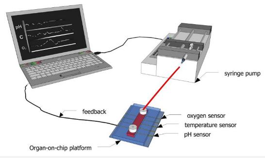 圖1:示意圖顯示了如何使用傳感器連續監測微流體通道內的生化參數。 圖1:示意圖顯示了如何使用傳感器連續監測微流體通道內的生化參數。