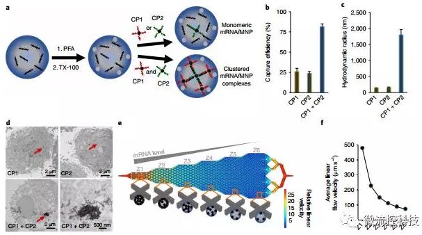 基于微流控芯片的新型的液體活檢技術