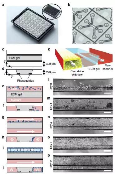 1523926773647068.jpg Q5.jpg