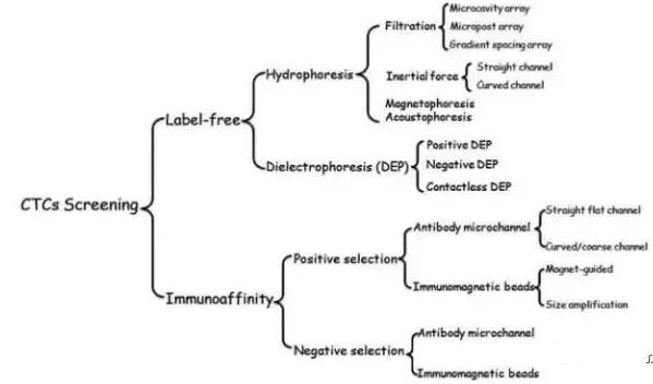 圖2:微流控系統分離CTCs的方法 圖2:微流控系統分離CTCs的方法