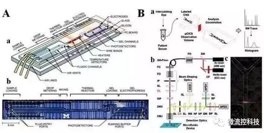 圖5:分析cNAs的微流控系統 圖5:分析cNAs的微流控系統