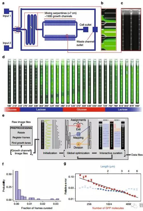 球最小的實驗室, 集成微流控動態可控監測單細胞基因調控 球最小的實驗室, 集成微流控動態可控監測單細胞基因調控