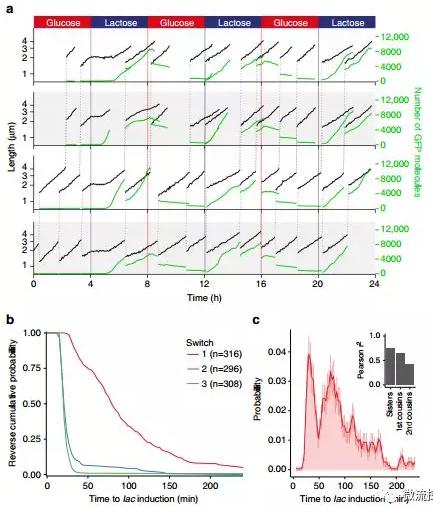 球最小的實驗室, 集成微流控動態可控監測單細胞基因調控 球最小的實驗室, 集成微流控動態可控監測單細胞基因調控