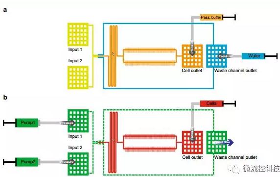 球最小的實驗室, 集成微流控動態可控監測單細胞基因調控 球最小的實驗室, 集成微流控動態可控監測單細胞基因調控