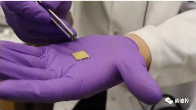 待打印的芯片 待打印的芯片