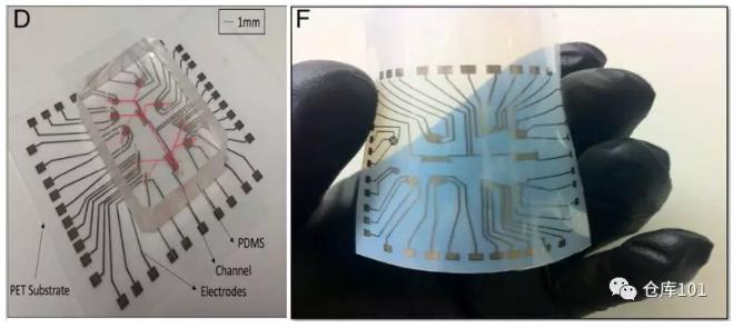 圖2. D)檢測平臺實物圖 F) PET柔性電路板實物圖