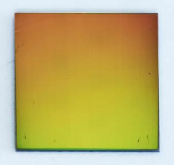 涂有金薄膜的載玻片 涂有金薄膜的載玻片