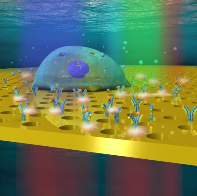 微型腔體放置在載玻片之上 微型腔體放置在載玻片之上