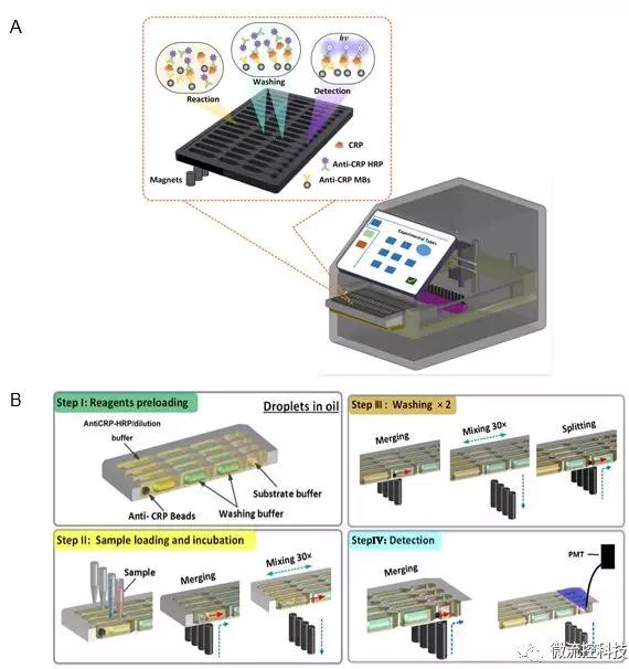 圖2 液滴陣列微流控芯片免疫分析系統。A. 分析儀器結構示意圖;B. 分析原理示意圖。 圖2 液滴陣列微流控芯片免疫分析系統。A. 分析儀器結構示意圖;B. 分析原理示意圖。