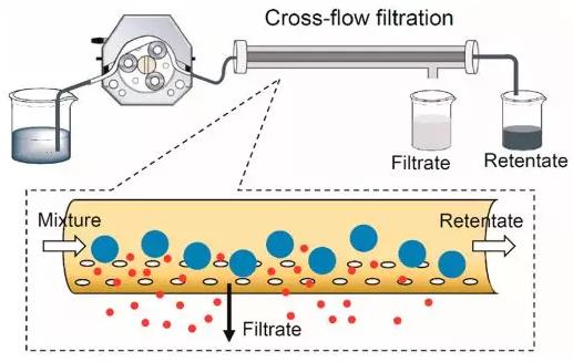 圖3 交叉流過濾裝置示意圖 圖3 交叉流過濾裝置示意圖