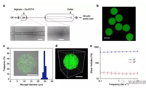 微流控技術(shù)開(kāi)發(fā)微型彈性球，可用于癌癥診斷