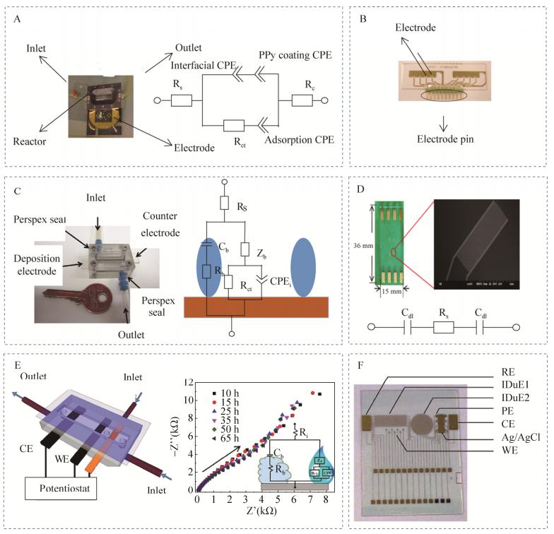 圖3微流控芯片電化學阻抗檢測生物被膜實例 圖3微流控芯片電化學阻抗檢測生物被膜實例