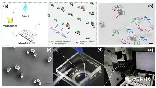 微流控技術(shù)在膀胱癌無(wú)創(chuàng)檢測(cè)領(lǐng)域取得重要進(jìn)展 微流控技術(shù)在膀胱癌無(wú)創(chuàng)檢測(cè)領(lǐng)域取得重要進(jìn)展