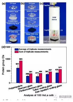 蛋白質(zhì) 蛋白質(zhì)