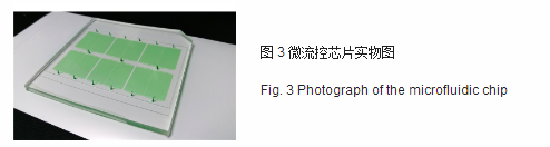 微流控芯片實物圖 微流控芯片實物圖