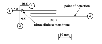 非均相衍生反應(yīng)電泳芯片結(jié)構(gòu) 非均相衍生反應(yīng)電泳芯片結(jié)構(gòu)