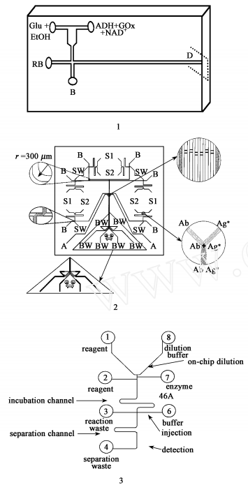集成有 T型和 Y型柱前反應(yīng)器的電泳芯片