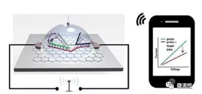 基于石墨烯的SNP檢測芯片將信號無線傳輸?shù)街悄苁謾C