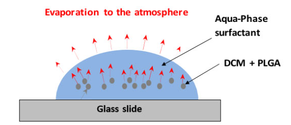顯示DCM從液滴通過連續(xù)相進入大氣的傳輸路線的代表性圖表