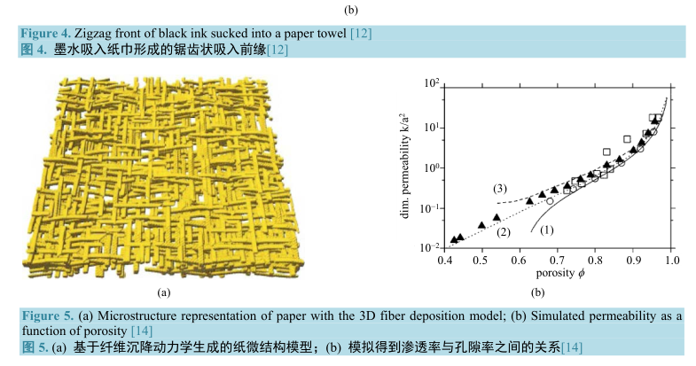 基于纖維沉降動(dòng)力學(xué)生成的紙微結(jié)構(gòu)模型