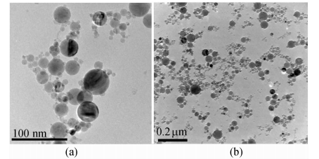 Ａｌ２Ｏ３納米流體電鏡照片
