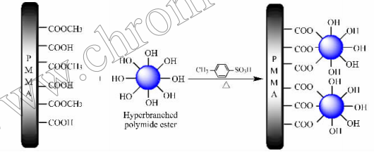 圖1PMMA微流控芯片的改性過程