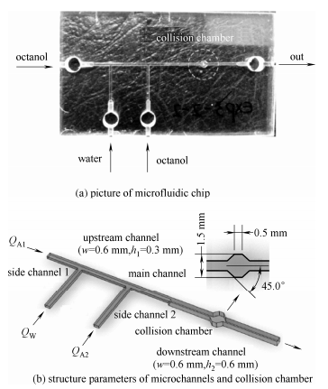 圖1微流控芯片與結(jié)構(gòu)參數(shù)