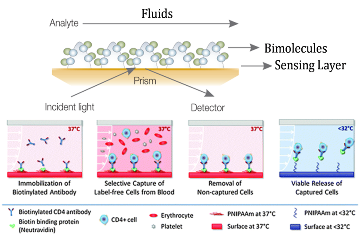 生物芯片 - 生物分子間相互作用
