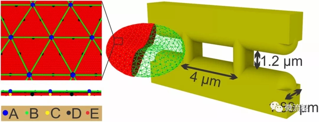 微流體系統幫助預測血管易堵塞程度 微流體系統幫助預測血管易堵塞程度