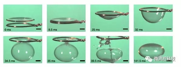 收縮成一個閉合的氣泡 收縮成一個閉合的氣泡